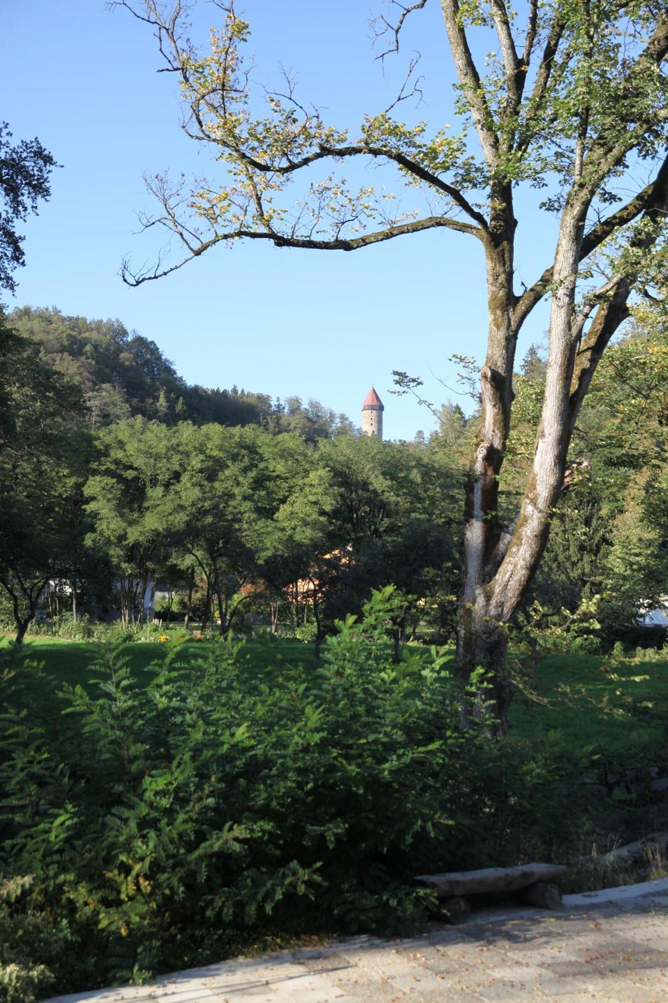 Saxen Gasthof Sturmmuehle מראה חיצוני תמונה